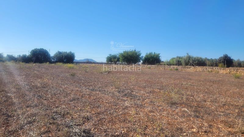 Foto 0608bd02-4992-4fb8-936c-318d3dad8a10. Finca rústica a Algaida