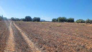 Finca rústica a N/A