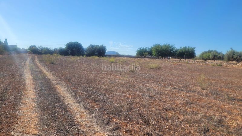 Foto 249d9b96-ccd0-4606-b6c9-658ffc2e10b9. Finca rústica a Algaida