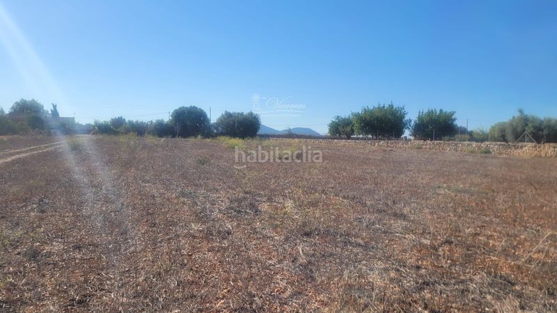 Foto 4cfba92c-d102-4c1f-9ca6-015a5eff7fed. Finca rústica a Algaida