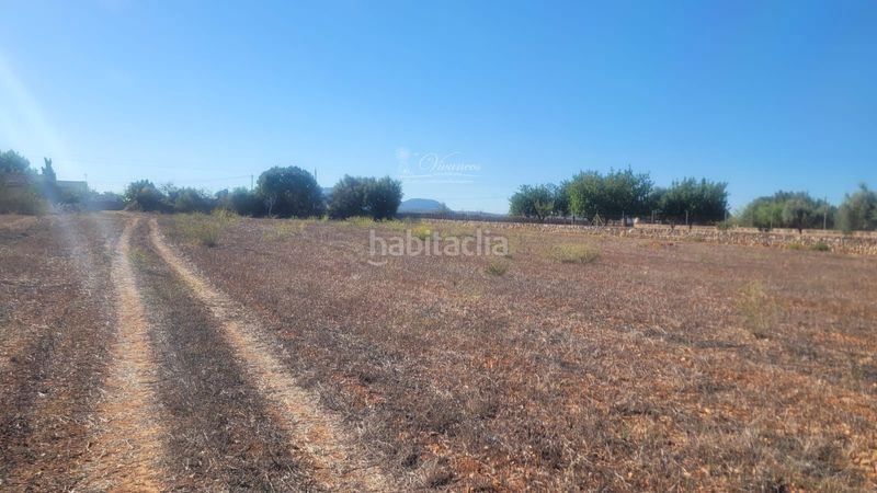 Foto b1ac9bda-db32-4da2-84a1-1cdd7c421304. Finca rústica a Algaida