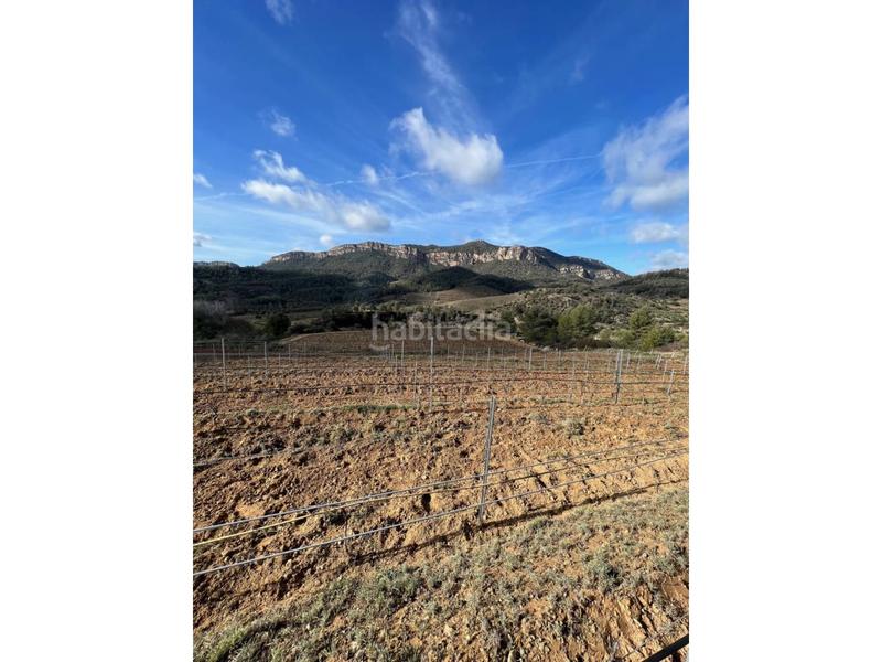 Foto 0f6cf35e-e495-48aa-99d5-efa738d76d04. Finca rústica a Vilella Baixa (La)