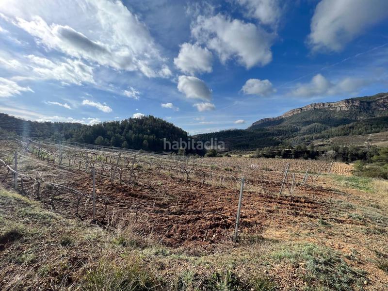 Foto abad0e63-2293-4f15-a716-0df54dfbbd52. Finca rústica a Vilella Baixa (La)