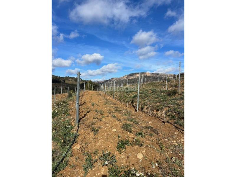 Foto b978f96b-dbe9-4456-8b42-050913127ffa. Finca rústica a Vilella Baixa (La)