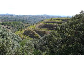 Finca rústica  Lloa. Finca rustica en venta en el lloar