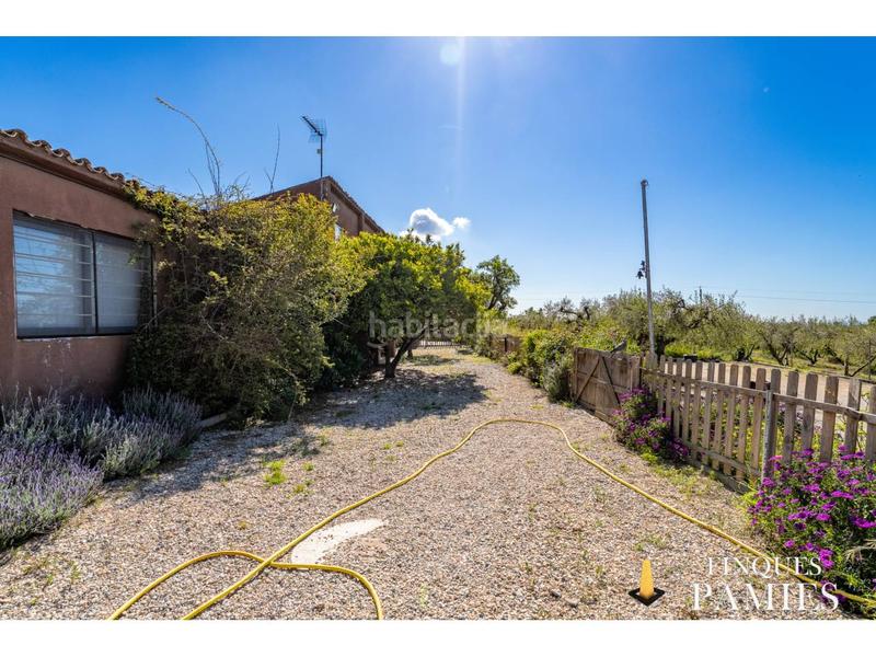 Foto d7b8607b-c0a4-4073-ac1d-4615e8d3b2c8. Masia a travesser 1 a Selva del Camp (La)