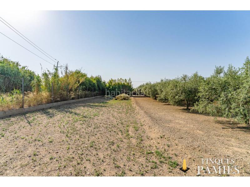 Foto 3a60c60b-6be6-4f11-b65c-2c23eb39199d. Country house in burgar 1 in Llevant Reus