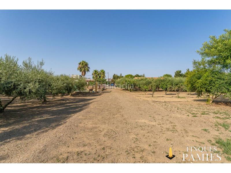 Foto 436cc3a0-3e19-42f7-9734-036184c3b476. Country house in burgar 1 in Llevant Reus