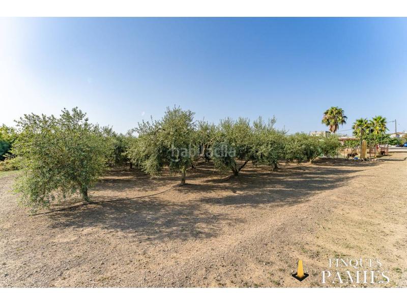 Foto a700ae57-fbde-49be-88c5-0c9867767863. Country house in burgar 1 in Llevant Reus