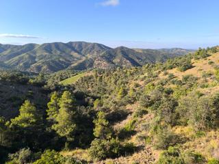 Rural plot in Carretera porrera - torroja 1. Finca rustica en alquiler en porrera