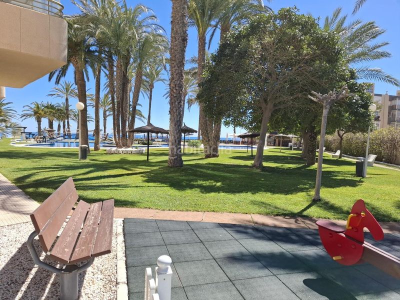Foto 030739aa-175d-4c61-bbbb-57e111e4f0fc. Apartament amb aparcament piscina a Playa Muchavista Campello (el)