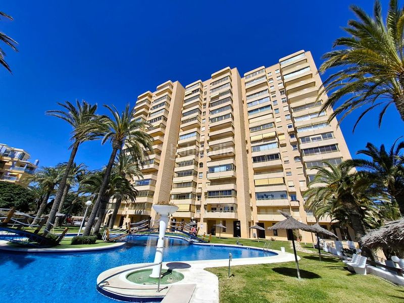 Foto 3bb5fc9f-bc97-420e-add6-294944a30b96. Apartament amb aparcament piscina a Playa Muchavista Campello (el)