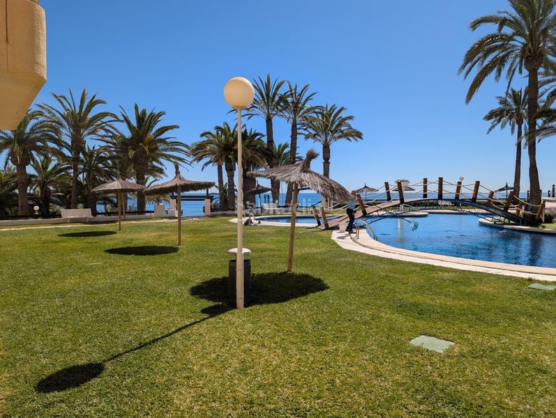 Foto 6c17dc35-f79c-40b4-8e4a-91f7f034f20a. Apartament amb aparcament piscina a Playa Muchavista Campello (el)