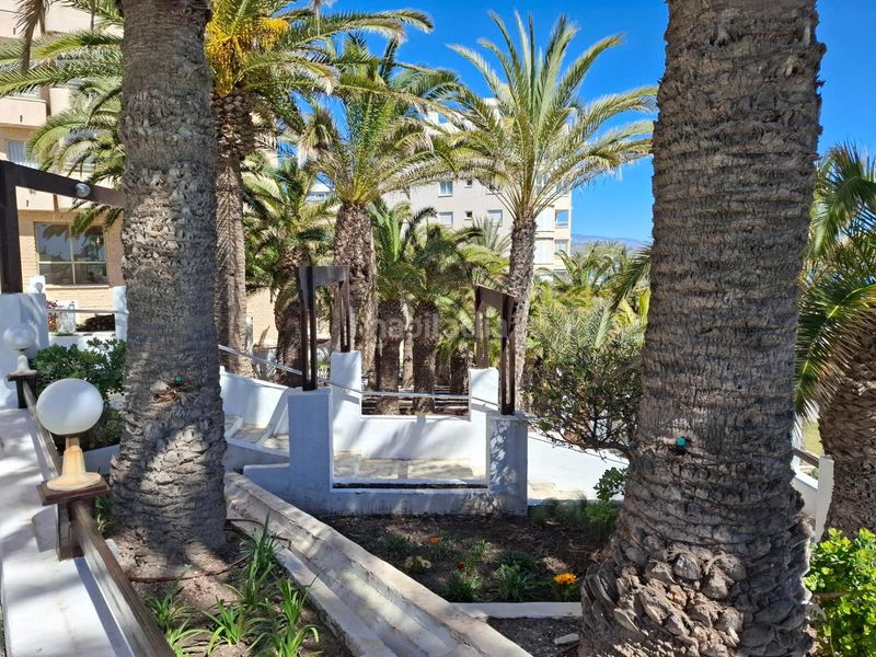 Foto 71023926-9fd1-4870-bfd4-423b57fbcde0. Apartament amb aparcament piscina a Playa Muchavista Campello (el)