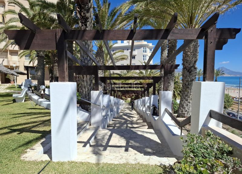 Foto 95460a5a-1750-450e-bcc9-3c42992ff7d5. Apartament amb aparcament piscina a Playa Muchavista Campello (el)