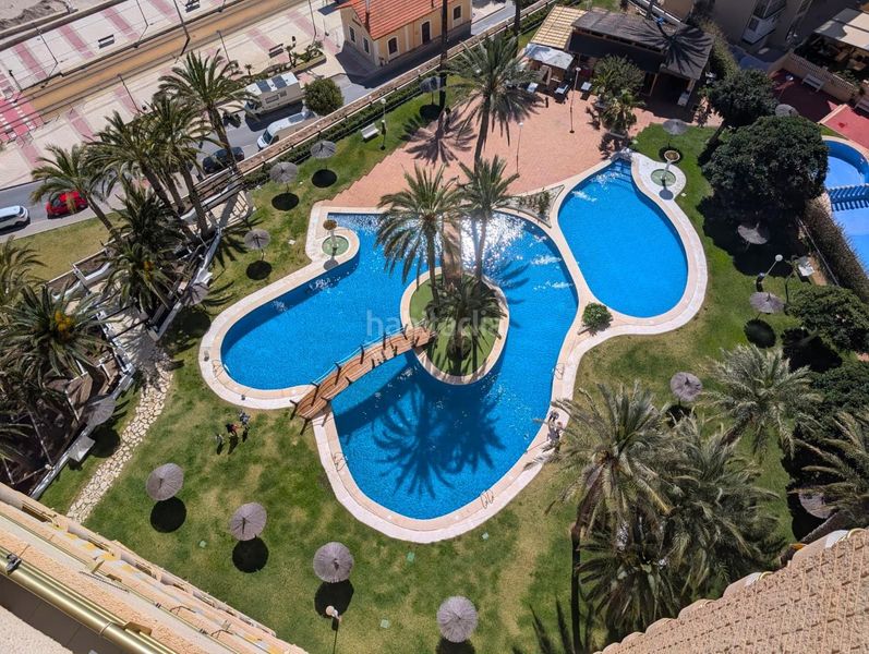 Foto ac787b56-7968-4794-bf0f-2074e1f863d1. Apartament amb aparcament piscina a Playa Muchavista Campello (el)