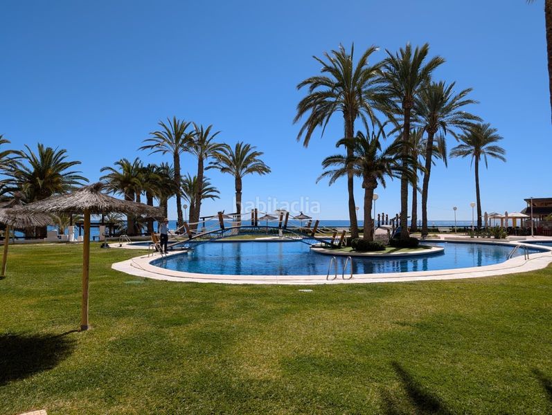 Foto d09247e6-a02f-4f65-b766-4f1ef71ae2f2. Apartament amb aparcament piscina a Playa Muchavista Campello (el)