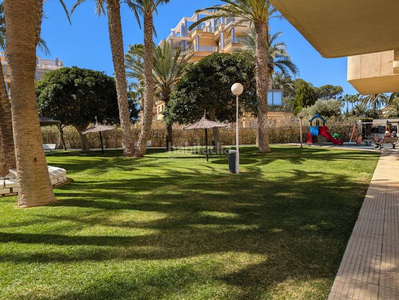 Foto ec95e8a3-787c-47c0-b214-0a5a42fead23. Apartament amb aparcament piscina a Playa Muchavista Campello (el)