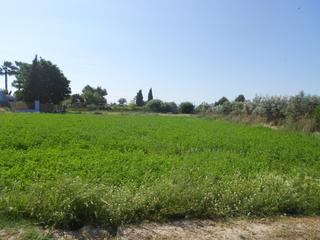 Residential Plot in El Llano. Parcela en molina de segura