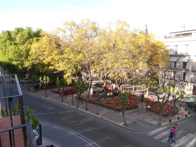 Foto 1e3d2251-b342-4bbf-9acd-96905cda0ad7. Lloguer pis a El Carmen Murcia