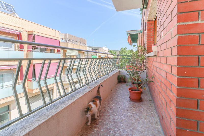 Foto f07c8c68-8020-4ea1-ac27-1c821312f304. Àtic a La Roureda Viladecans