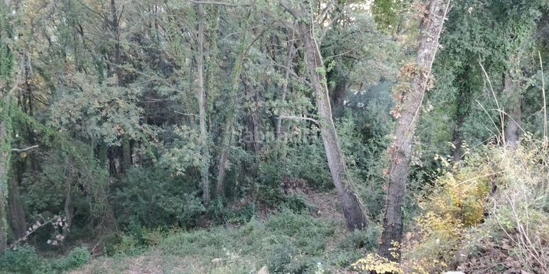 Foto 2d65895a-9c28-407d-b7b7-e29b7007a25f. Terreny residencial a Porqueres