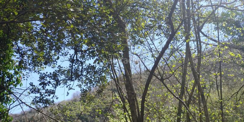 Foto 08f7e156-e7d7-45b0-b424-b937e0616a10. Terreno residencial solar en venta . en Susqueda