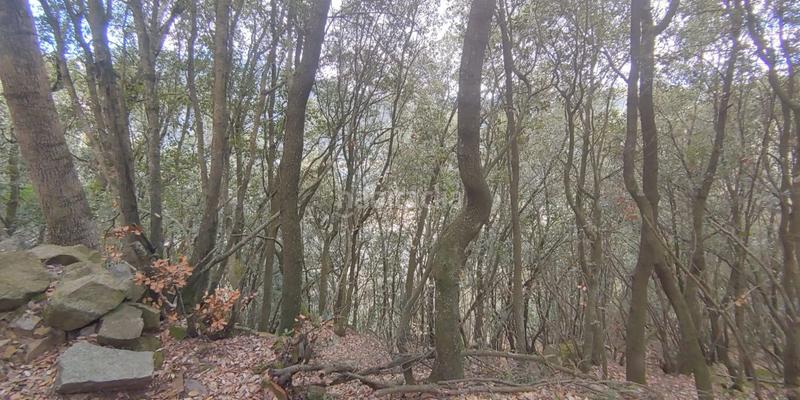 Foto 1de31b4d-c579-4ff3-8019-a539dd94e2a8. Terreno residencial solar en venta . en Susqueda