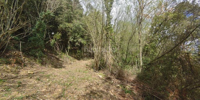 Foto 53ee2148-636b-43a4-ab21-4a6a89fad6d0. Terreno residencial solar en venta . en Susqueda