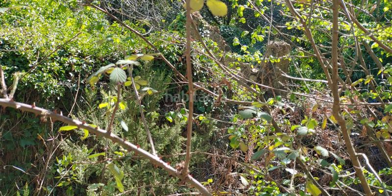 Foto 9c94cb7f-167a-4818-bb6a-e7b6ff4eda85. Terreno residencial solar en venta . en Susqueda