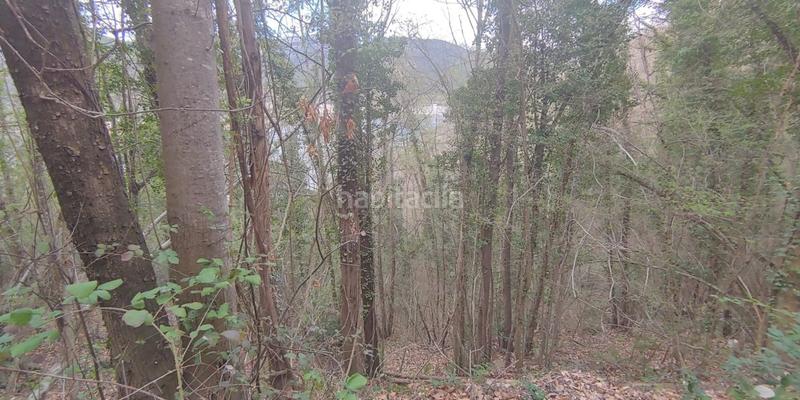 Foto bcb357b6-3598-485d-8070-d37bbed10532. Terreno residencial solar en venta . en Susqueda