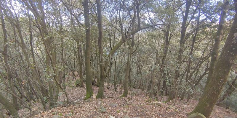 Foto c3262fcc-bb1c-4f79-9aea-08a693930598. Terreno residencial solar en venta . en Susqueda