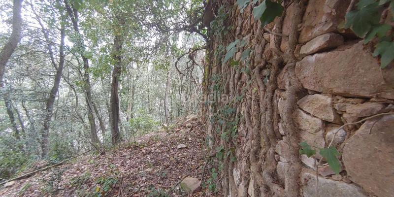 Foto c93daf56-0b3a-48a4-bc7e-5a97dfd83702. Terreno residencial solar en venta . en Susqueda