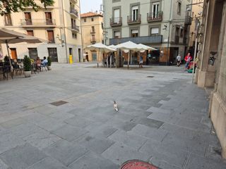 Lloguer Local Comercial a Ripoll. Local com. en alquiler en ripoll.