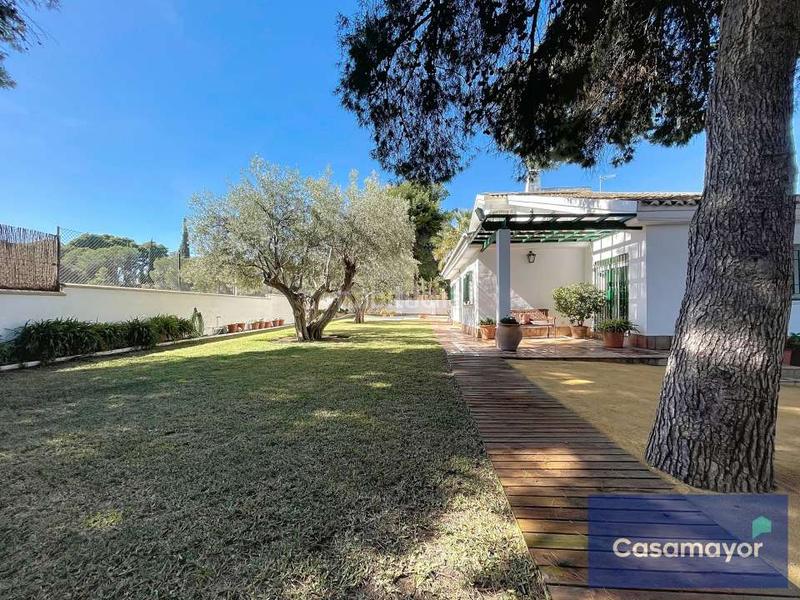 Foto 74e768b5-1374-4907-b115-d7f7b2efdc94. Xalet amb calefacció aparcament piscina a Vistahermosa Alicante