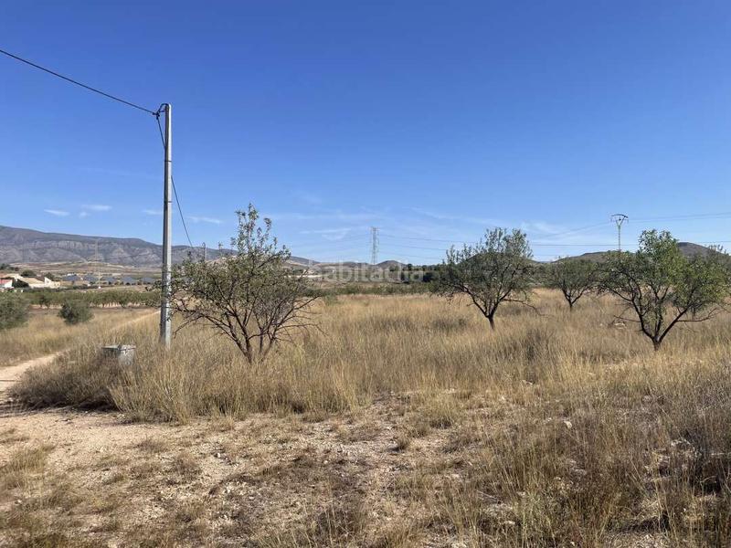 Foto 02c74691-2e73-440b-a9b5-63cc597b65cf. Wohngrundstück in polígono 74 parcela 142 30529 1 in Jumilla