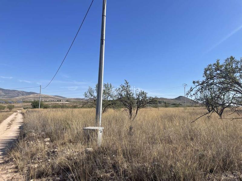 Foto 55ad5cb4-0756-496f-a888-8d2e0cb84801. Wohngrundstück in polígono 74 parcela 142 30529 1 in Jumilla