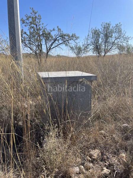 Foto 61357c95-7e68-4ad2-b016-92796729a7fa. Wohngrundstück in polígono 74 parcela 142 30529 1 in Jumilla