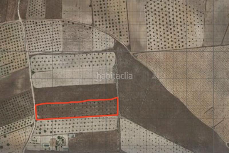 Foto c6844f22-b173-4709-908a-f204352e4251. Wohngrundstück in polígono 74 parcela 142 30529 1 in Jumilla