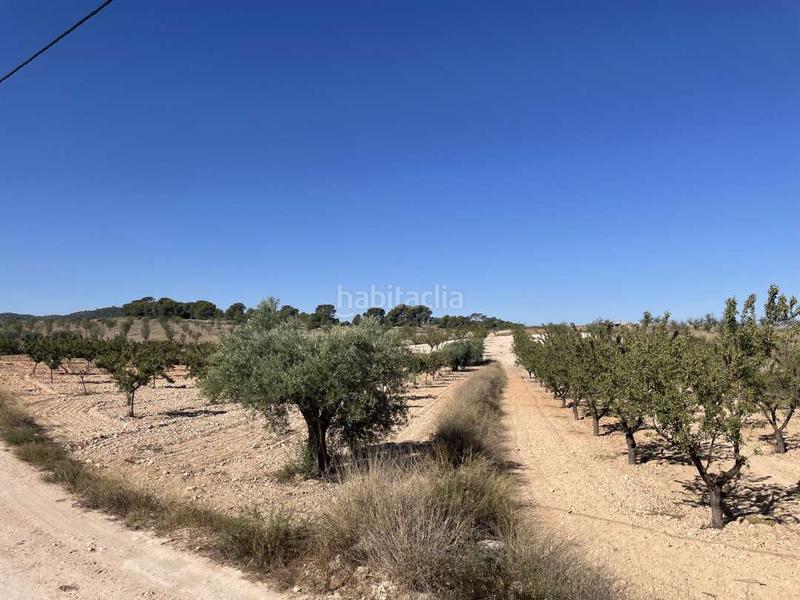 Foto f7f6981c-d86c-4b2d-bf1e-ccd0d504b52c. Wohngrundstück in polígono 74 parcela 142 30529 1 in Jumilla