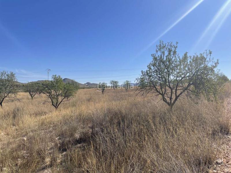 Foto fc93d4f6-840c-4134-bbcf-df83e639889a. Wohngrundstück in polígono 74 parcela 142 30529 1 in Jumilla