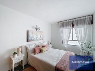 Pis a Carrer Portugal 24