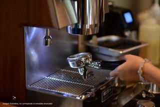 Business premise in Barrio del Centro