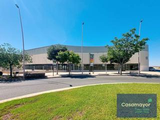 Nave industrial  Carretera de agost. Amplia nave con zona de exposición en polígono canastell
