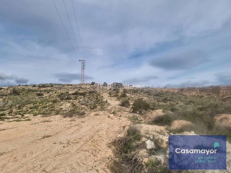 Foto 5f8147d9-e4d3-4c6e-94b7-7c2eec3ebe23. Finca rústica a Ciudad de Asís Alicante