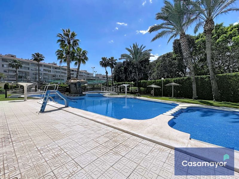 Foto d9994699-f1b9-48c1-b1d1-9e5bc762daf0. Pis amb calefacció aparcament piscina a Alicante golf Alicante