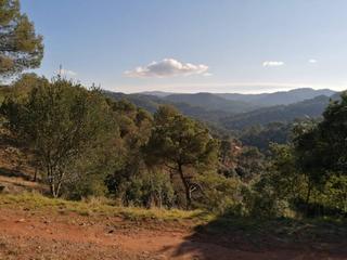 Area edificabile industriale  Santa agnés. Parcela en venta a sant llorenç savall