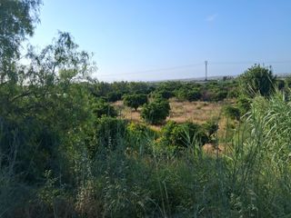 Finca rústica a Avinguda del Mediterrani 39