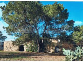 House in Felanitx Poble. Finca rústica con 217.089 m2 entre felanitx y porreres