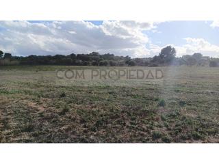 Fondo rustico in Manacor Centre. Solar rústico de 16.800 m en manacor  entre son masià y la ciuda